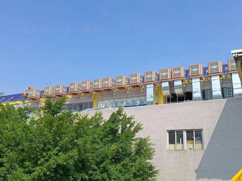 鐵皮廠房如何降溫，來這里了解更多方案